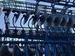 Grada de disco - Lemken - gigant 12 s/1000 - rubin 10m