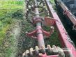 Cultivador - Horsch - tiger 6 lt