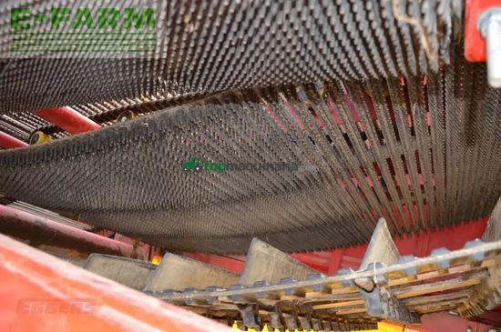 Cosechadora - arrancadora de patata - Grimme - se 260 ub