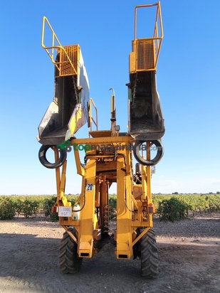 Vendimiadora - Grégoire - G70
