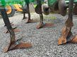 Cultivador - Kotte - flgr 300, sägerät technik plus öko-air 8