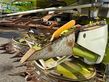 Cabezal - Claas - orbis 750 auto contour 3t