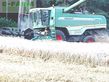 Cosechadora de Cereal - Fendt - 5270 cal inkl. powerflow 6,15m raps