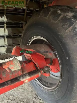 Cosechadora - arrancadora de patata - Grimme - se 75 - 40 ub