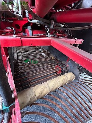 Cosechadora de Cereal - Grimme - rexor 6300 platinum