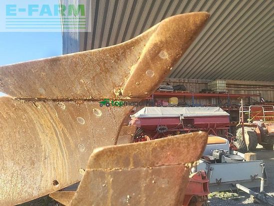 Arado - Maschio - unico 4+1 non stop