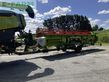 Cosechadora de Cereal - Claas - trion 740 tt mit v 770