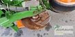 Sembradora monograno mecanica - Amazone - edx 6000-2c