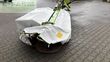 Cortacésped manual - Claas - corto 310 n