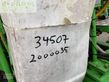 Atomizador - Dammann - anp2024