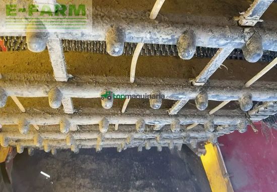 Cosechadora - arrancadora de patata - Grimme - 85-55