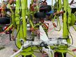 Henificador - Claas - volto 1100, vorgewendeaushebung