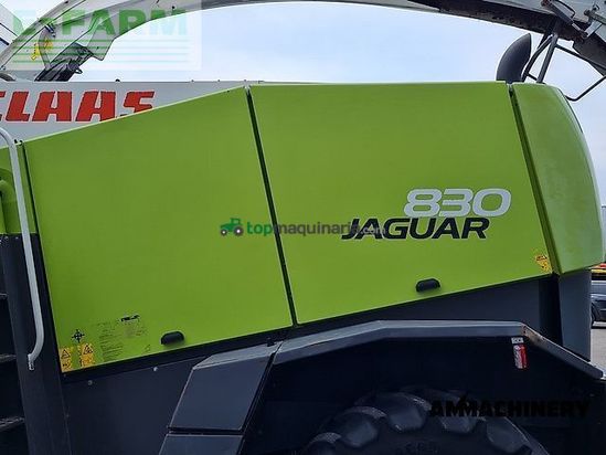 Cosechadora de Cereal - Claas - jaguar 830 profistar