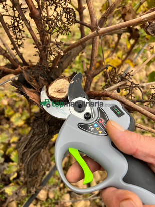 TIJERA DE PODA AGROTOOLS PHOENIX 1200 W