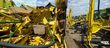 Cabezal - John Deere - 375 Plus