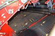 Cosechadora - arrancadora de patata - Grimme - evo 280 clodsep gen ii