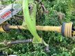 Henificador - Claas - volto 900