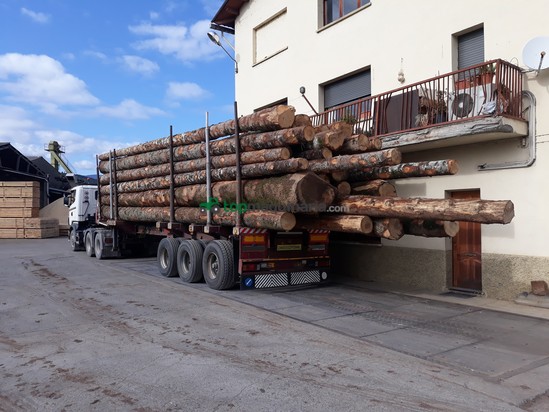Plataforma extensible - Friederich - con grua