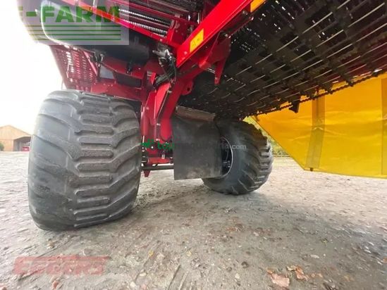 Cosechadora - arrancadora de patata - Grimme - se 260 ub