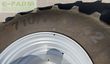 Tractor agrícola - Case IH - optum 300 cvx drive CVX