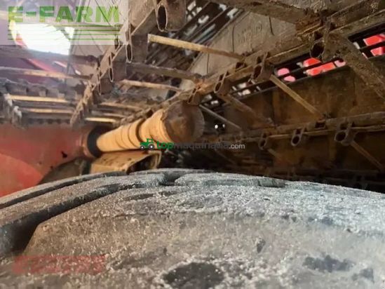 Cosechadora - arrancadora de patata - Grimme - evo 280 clodsep 17