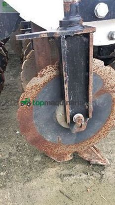 Riego -  - stripcat 2 12-50