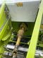 Empacadora gigant - Claas - quadrant 2200 rc