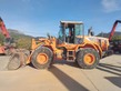 Palas cargadora DOOSAN DL250-5