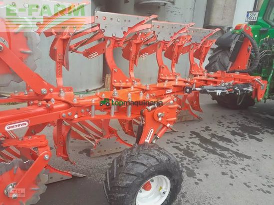 Arado - Maschio - unico m passo 4