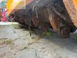 Grada rotativa -  - serrat farmland-5 t3000