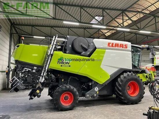 Cosechadora de Cereal - Claas - trion 530 montana