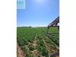 Riego - Irrifrance - optima