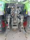 Tractor agrícola - Fendt - 516 vario power