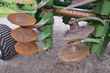 Grada de disco - Amazone - certos 7001-2tx
