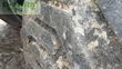 Equipamiento / accesorio - Samson - pg20 hydr. udskuds aksel