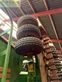 Sembradora - Amazone - amazone 6003-2