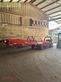 Cosechadora - arrancadora de patata - Grimme - sl 125