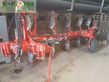 Arado - Maschio - unico m passo 4