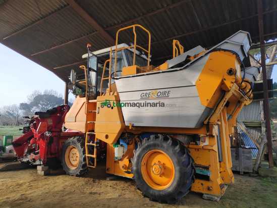 Vendimiadora - Grégoire - G122