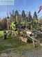 Rastrillo - Claas - liner 2900 trend