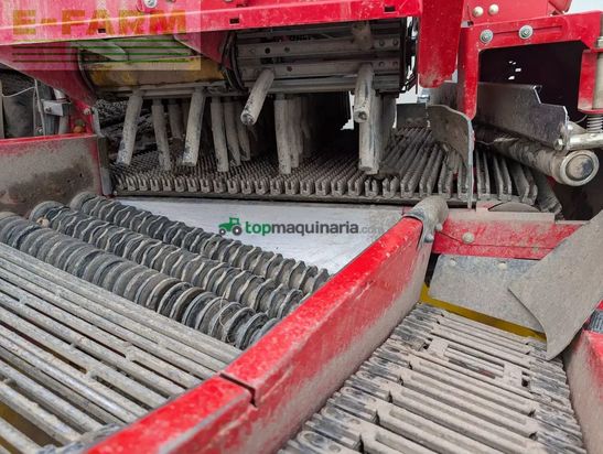 Cosechadora - arrancadora de patata - Grimme - se 75-55 ub