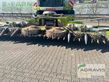 Cosechadora de Cereal - Claas - orbis 900