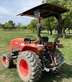 Tractor agrícola - Kubota - L3901