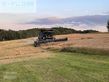 Cosechadora de Cereal - Massey Ferguson - ideal 8 pl