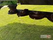 Cortacésped manual - Fendt - slicer 3670 tlx