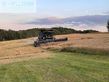 Cosechadora de Cereal - Massey Ferguson - ideal 8 pl