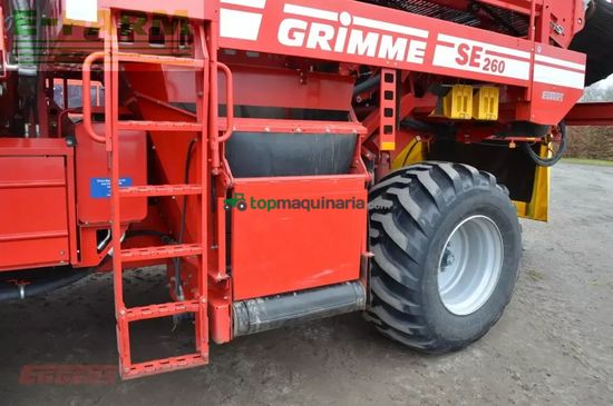 Cosechadora - arrancadora de patata - Grimme - se 260 ub
