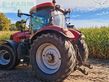 Tractor agrícola - Case IH - puma 185 cvx