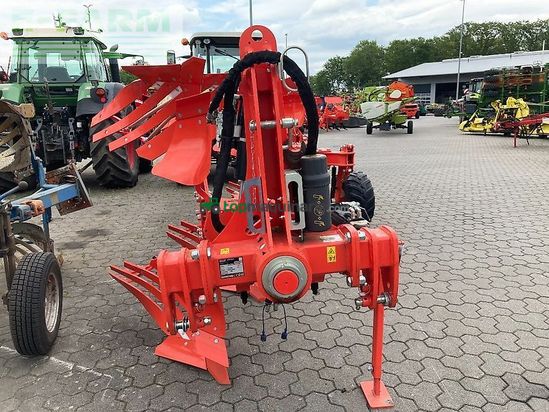Arado - Maschio - unico m passo 4+1