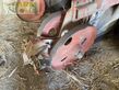 Sembradora monograno mecanica - Kuhn - planter ii 8 rangs